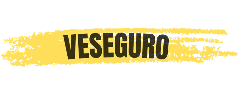 VeSeguro